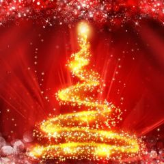 Christmas Tree Red Lightspot Photography Scenery Backdrop Christmas Theme Banner BCE-235