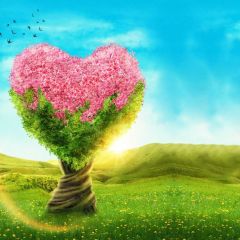 Flower Grass Bird Sky Photography Scenery Backdrop Love Theme Banner BCE-241