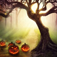 Tree Smog Pumpkin Photography Scenery Backdrop Halloween Theme Banner BCE-242