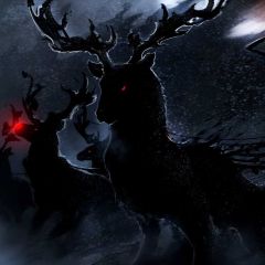 Reindeer Night Snow Photography Scenery Backdrop Christmas Theme Banner BCE-246