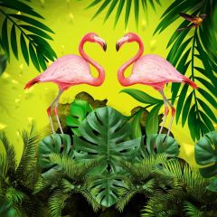 Animal Bird Leaves Mistletoe Photography Scenery Backdrop Nature Theme Banner BCE-252