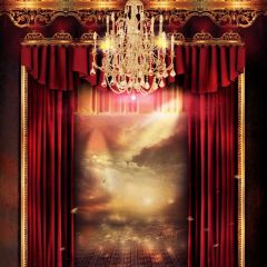 Curtain Stage Light Photography Scenery Backdrop Music Dance Theme Banner BCE-268
