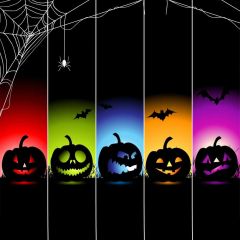 Pumpkin Lantern Colours Photography Scenery Backdrop Halloween Theme Banner BCE-270
