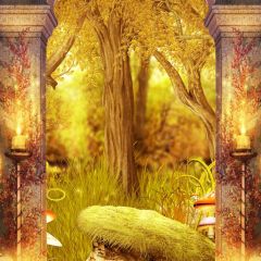Wood Candle Yellow Photography Scenery Backdrop Nature Theme Banner BCE-276