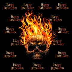 Flame Skull Photography Scenery Backdrop Halloween Theme Banner BCE-279