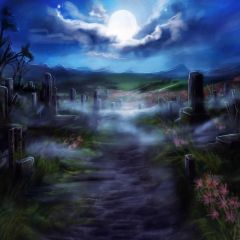 Mist Coffin Photography Scenery Backdrop Nature Theme Banner BCE-281