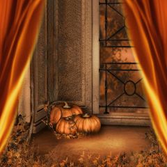 Window Curtain Pumpkin Photography Scenery Backdrop Halloween Theme Banner BCE-283