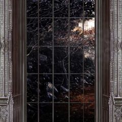 Window Jungle Photography Scenery Backdrop Halloween Theme Banner BCE-285