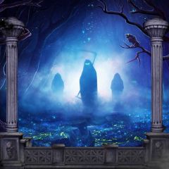 Spirit Frog Dark Photography Scenery Backdrop Halloween Theme Banner BCE-289