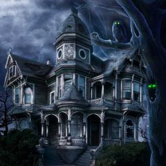 Owl Castle Branch Photography Scenery Backdrop Halloween Theme Banner BCE-290