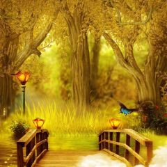 Bridge Meadow Photography Scenery Backdrop Nature Theme Banner BCE-297