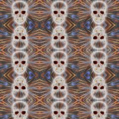 Skull Pattern Photography Scenery Backdrop Halloween Theme Banner BCE-298