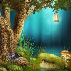 Light Plants Stone Photography Scenery Backdrop Nature Theme Banner BCE-299