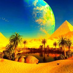 Palm Tree Animal Photography Scenery Backdrop Landmark Theme Banner BCE-303