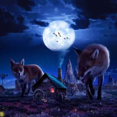 Wolves Moon House Photography Scenery Backdrop Night Theme Banner BCE-305