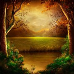 Tree Sea Grass Photography Scenery Backdrop Nature Theme Banner BCE-313