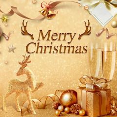 Stag Christmas Ball Photography Scenery Backdrop Christmas Theme Banner BCE-319