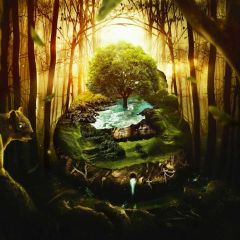 Stream Branches Light Photography Scenery Backdrop Fantasy Theme Banner BCE-321