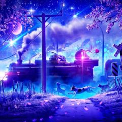 Animal Kiss Romance Photography Scenery Backdrop Night Theme Banner BCE-323