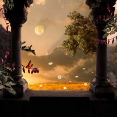 Moon Arches Bloom Photography Scenery Backdrop Nature Theme Banner BCE-324