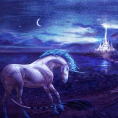 Horse Half Moon Sea Photography Scenery Backdrop Ocean Theme Banner BCE-326