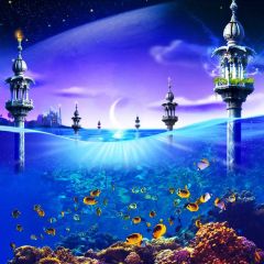 Seaanimal Coral Photography Scenery Backdrop Ocean Theme Banner BCE-328