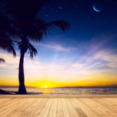 Tree Sunrise Ocean Photography Scenery Backdrop Ocean Theme Banner BCE-341