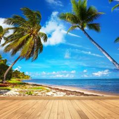Ocean Palm Tree Floor Photography Scenery Backdrop Ocean Theme Banner BCE-342