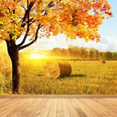 Maple Floor Pasture Photography Scenery Backdrop Forest Theme Banner BCE-343