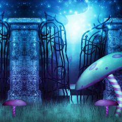 Mushroom Door Photography Scenery Backdrop Night Theme Banner BCE-348