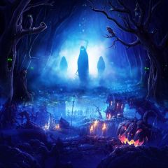 Pumpkin Tree Owl Photography Scenery Backdrop Halloween Theme Banner BCE-351