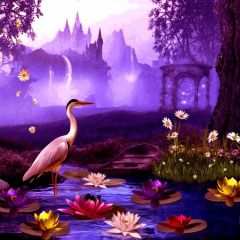 Swan River Lotus Photography Scenery Backdrop Fantasy Theme Banner BCE-353