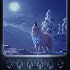 Wolf Snow Arch Photography Scenery Backdrop Balcony Landscape Theme Banner BCE-354