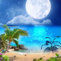 Sea Palm Tree Moon Sand Photography Scenery Backdrop Ocean Theme Banner BCE-355