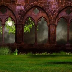 Arch Meadow Photography Scenery Backdrop Arches or Pillars Theme Banner BCE-356