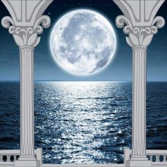 Arch Moon Photography Scenery Backdrop Arches or Pillars Theme Banner BCE-367