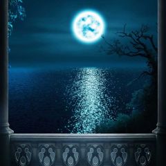 Night Sea Moon Arch Photography Scenery Backdrop Ocean Theme Banner BCE-371
