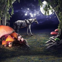 Horse Tree Moon Star Photography Scenery Backdrop Fantasy Theme Banner BCE-377