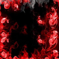 Red Flower Photography Scenery Backdrop Flowers Theme Banner BCE-382