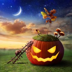 Halloween Pumpkin Photography Scenery Backdrop Halloween Theme Banner BCE-385
