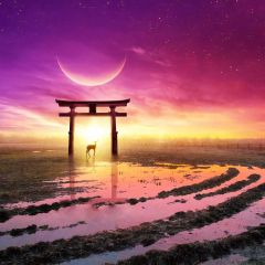 Moon Stag Light Photography Scenery Backdrop Nature Theme Banner BCE-395