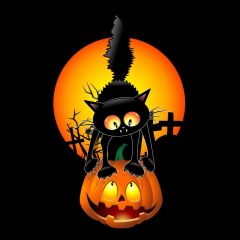 Halloween Cat Moon Photography Scenery Backdrop Halloween Theme Banner BCE-397