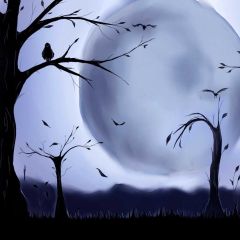 Leaves Bird Frog Photography Scenery Backdrop Autumn Theme Banner BCE-398