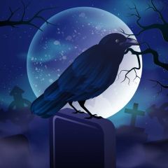 Halloween Crow Coffin Photography Scenery Backdrop Halloween Theme Banner BCE-399