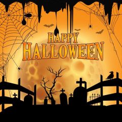Coffin Bird Jungle Spider Photography Scenery Backdrop Halloween Theme Banner BCE-409