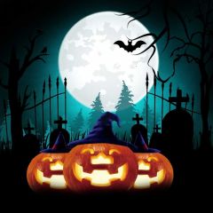 Bat Pumpkin Door Coffin Photography Scenery Backdrop Halloween Theme Banner BCE-411