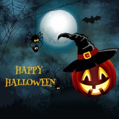 Halloween Cobweb Spider Photography Scenery Backdrop Halloween Theme Banner BCE-423