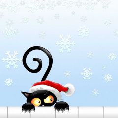 Cat Halloween Snow Photography Scenery Backdrop Halloween Theme Banner BCE-424