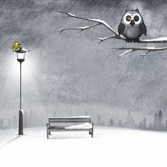 Bird Branches Bench Snow Photography Scenery Backdrop Snow Theme Banner BCE-442