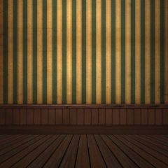 Floor Wall Strip Photography Scenery Backdrop Indoor Theme Banner BCE-444